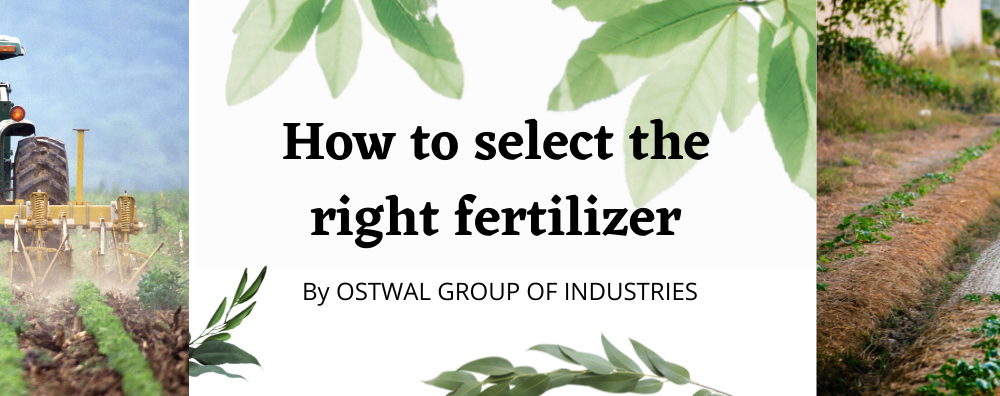 How to select the right fertilizer